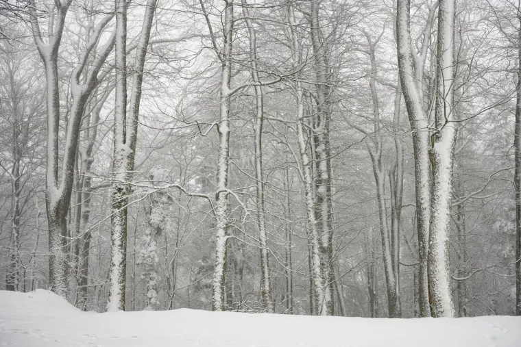 Prava zimska idila na Sljemenu: Zagrepčani konačno dočekali snijeg