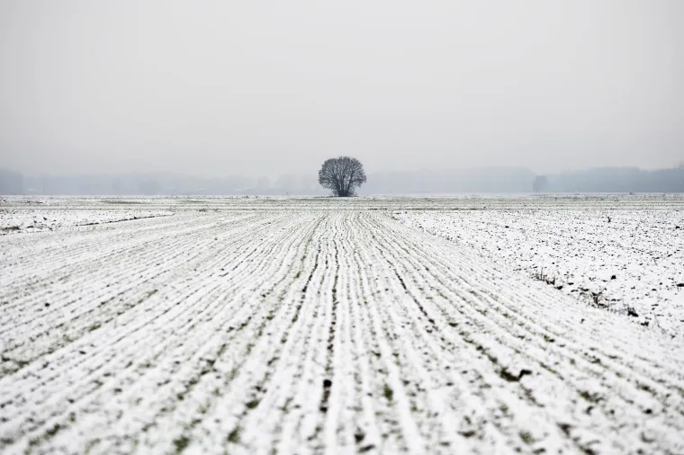 Dijelovi Hrvatske probudili se pod bijelim pokrivačem: Pogledajte prizore snježne idile