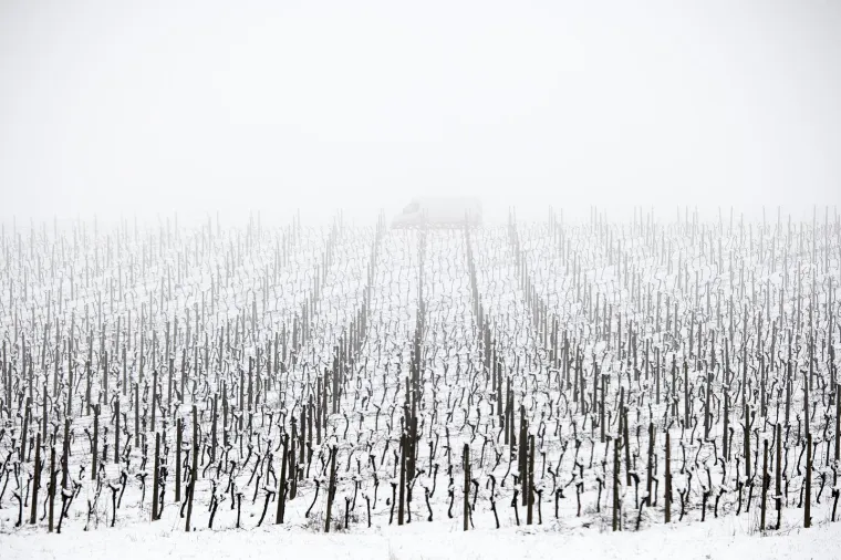 Dijelovi Hrvatske probudili se pod bijelim pokrivačem: Pogledajte prizore snježne idile