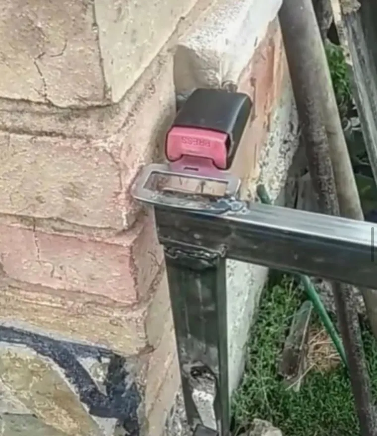 Vječni sjaj nepobjedivog uma Slavena: Od ovih 'znanstvenika' dalje naprosto nema