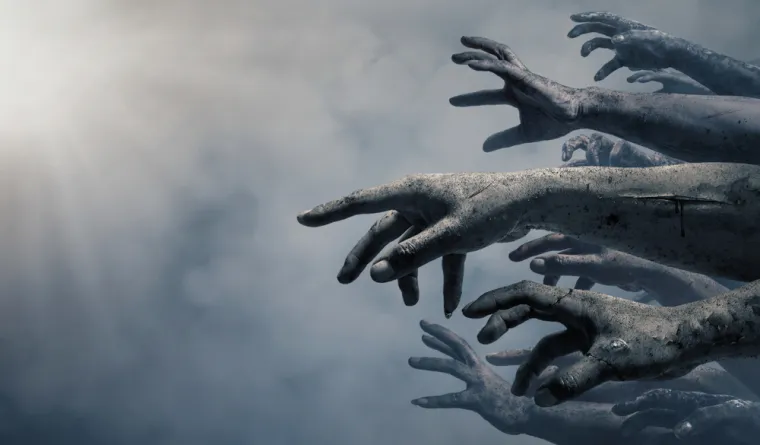 "Nitko od nas ne zna tko je zapravo na vrhu te piramide. Mi možemo zagrebati do sredine. Financiranje postoji sa svih strana, je li iz inozemstva ili odavde. Tu se nalaze ljudi koji se nalaze na moćnim pozicijama u politici, javnom životu, u području znanosti i zdravlja. To je ogromna mreža."