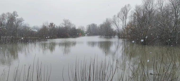Kupa prijeti Letovaniću: Razina vode opasno visoka, poplavljena brojna dvorišta i ceste