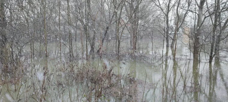 Kupa prijeti Letovaniću: Razina vode opasno visoka, poplavljena brojna dvori&scaron;ta i ceste