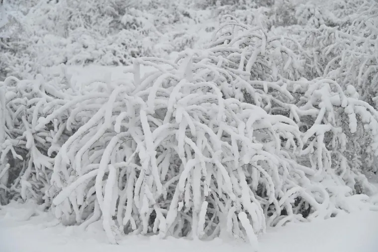Dodao je da je mehanizacija zimske službe Županijskih cesta raspoređena od ka&scaron;telanskog zaleđa, preko sinjskog područja te u Imotskoj krajini, Vrgoračkom području i i Omi&scaron;kom zaleđu.