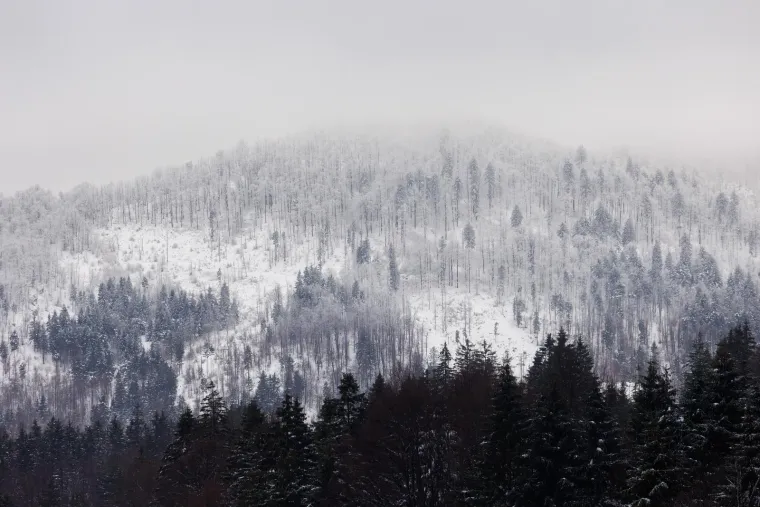 Opet je nastao krkljanac na Sljemenu, ali oni koji su se dokopali vrha uživaju u pravoj idili; Bajkovito je i u Karlovcu