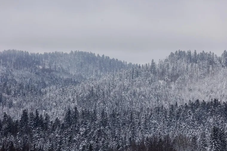 Opet je nastao krkljanac na Sljemenu, ali oni koji su se dokopali vrha uživaju u pravoj idili; Bajkovito je i u Karlovcu