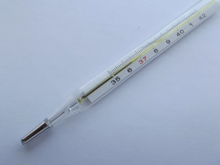 3. Povišena tjelesna temperatura - iznad 38 stupnjeva Celzijusa duže od 2 dana