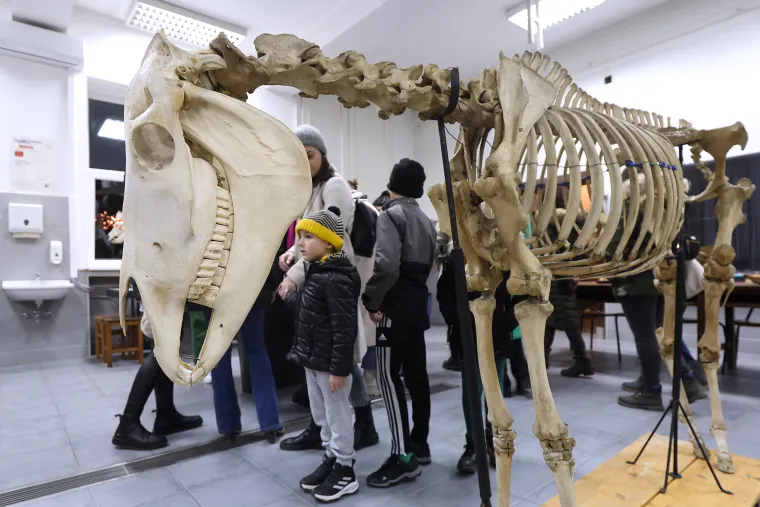 Veterinarski fakultet Sveučili&scaron;ta u Zagrebu