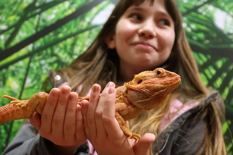 Veterinarski fakultet Sveučili&scaron;ta u Zagrebu 
