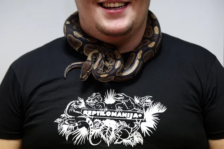 Veterinarski fakultet Sveučili&scaron;ta u Zagrebu