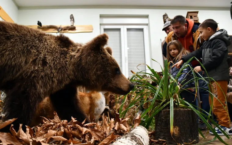 Noć muzeja u Slavonskom Bordu u Lovačkom muzeju Brodsko-posavske županije  