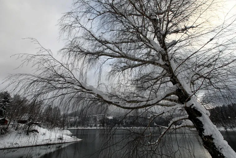 Očaravajući prizori: Pogledajte kako izgleda snježna idila u Hrvatskoj