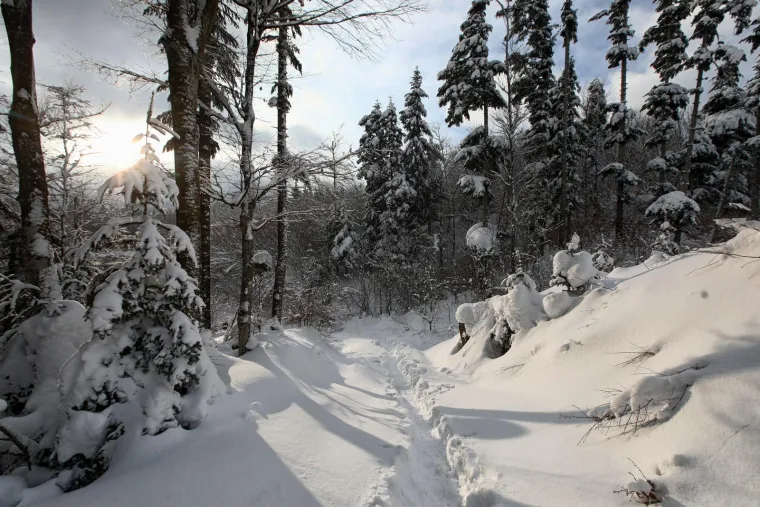 Očaravajući prizori: Pogledajte kako izgleda snježna idila u Hrvatskoj