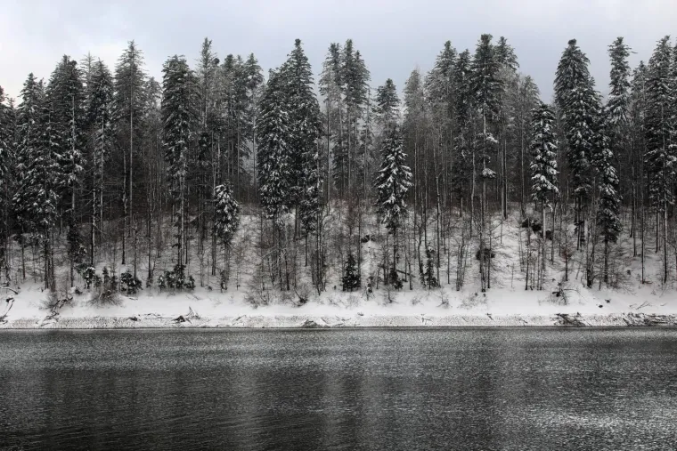 Očaravajući prizori: Pogledajte kako izgleda snježna idila u Hrvatskoj