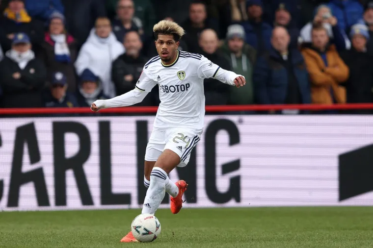 Georginio Rutter iz Hoffenheima u Leeds za 28,000.000 eura