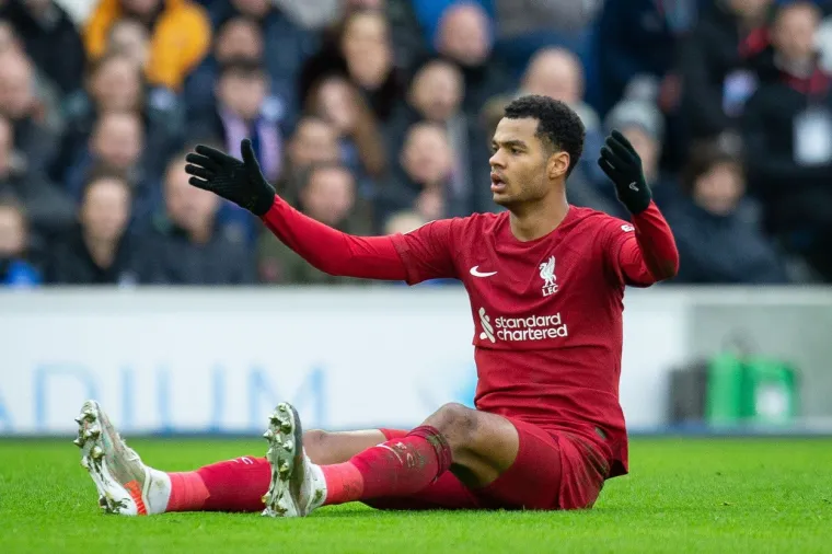 Cody Gakpo iz PSV-a u Liverpool za 42,000.000 eura