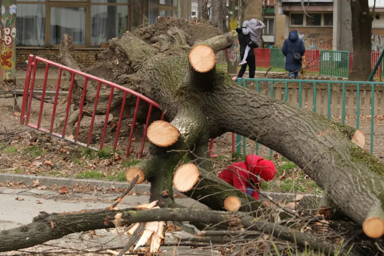 Strašni prizori: Pogledajte što je olujni vjetar učinio u Osijeku i Zagrebu. Rušio stabla, štandove, auta...