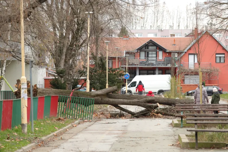 Strašni prizori: Pogledajte što je olujni vjetar učinio u Osijeku i Zagrebu. Rušio stabla, štandove, auta...
