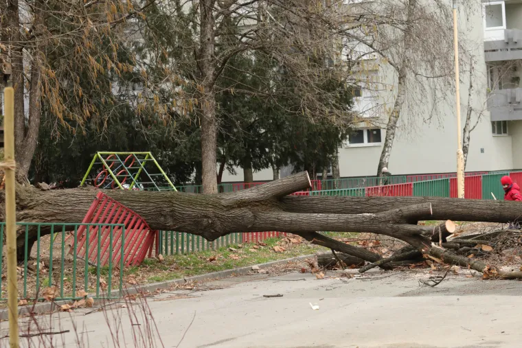 Strašni prizori: Pogledajte što je olujni vjetar učinio u Osijeku i Zagrebu. Rušio stabla, štandove, auta...