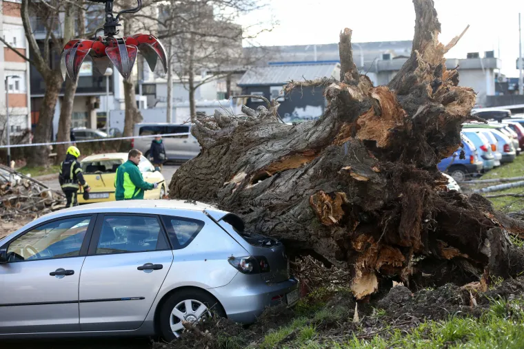 Strašni prizori: Pogledajte što je olujni vjetar učinio u Osijeku i Zagrebu. Rušio stabla, štandove, auta...