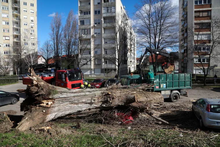 Strašni prizori: Pogledajte što je olujni vjetar učinio u Osijeku i Zagrebu. Rušio stabla, štandove, auta...
