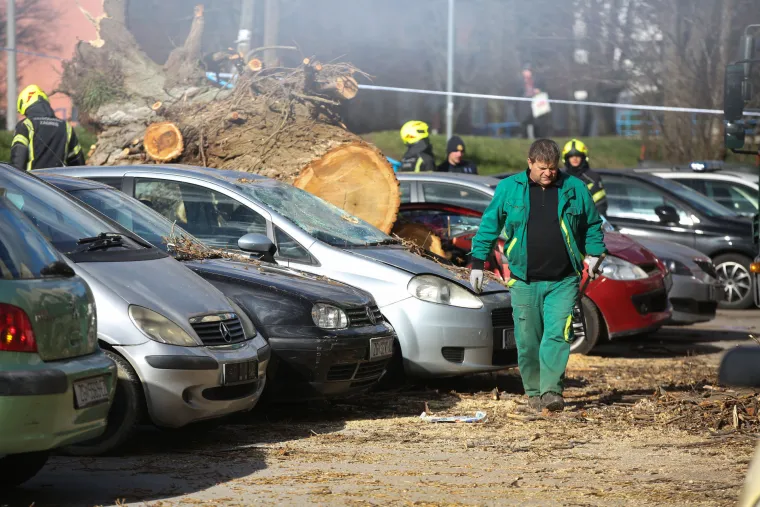 Strašni prizori: Pogledajte što je olujni vjetar učinio u Osijeku i Zagrebu. Rušio stabla, štandove, auta...