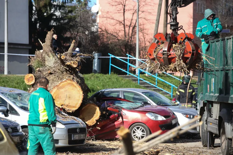 Stra&scaron;ni prizori: Pogledajte &scaron;to je olujni vjetar učinio u Osijeku i Zagrebu. Ru&scaron;io stabla, &scaron;tandove, auta...