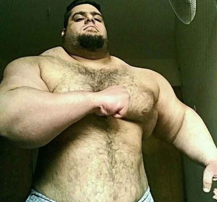 'Iranski Hulk' je razotkriven: 'Sve je bila fotomontaža. Kada smo ga sreli umalo smo popadali sa stolica kako izgleda. Tip je najveća prevara ikad'
