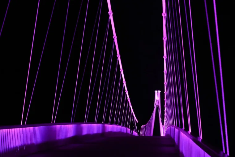 Gradovi diljem Hrvatske osvijetljeni ljubičastom bojom. Evo koja poruka stoji iza toga