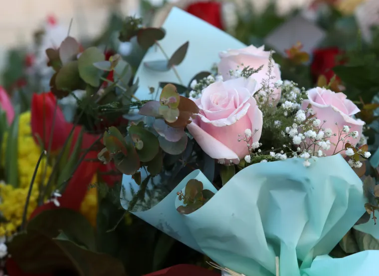 Dan je zaljubljenih, a &Scaron;ibenčani nisu zaboravili na svoje dame. Od ranog jutra kupuju cvijeće