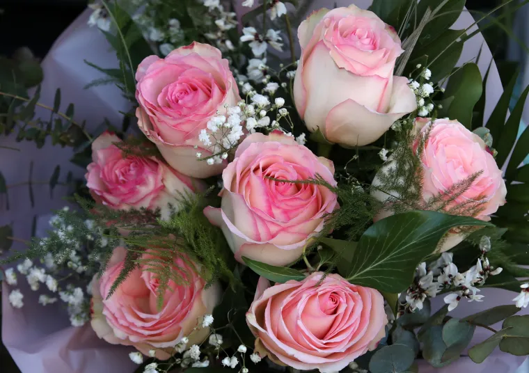 Dan je zaljubljenih, a &Scaron;ibenčani nisu zaboravili na svoje dame. Od ranog jutra kupuju cvijeće