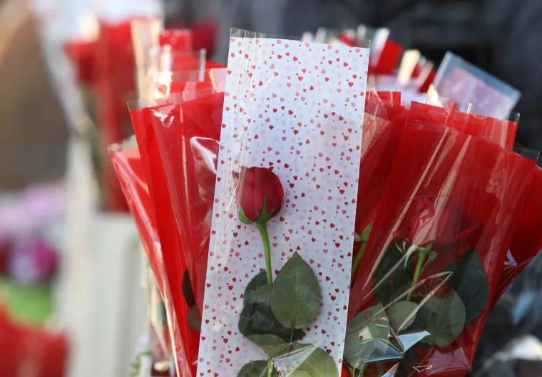 Dan je zaljubljenih, a &Scaron;ibenčani nisu zaboravili na svoje dame. Od ranog jutra kupuju cvijeće