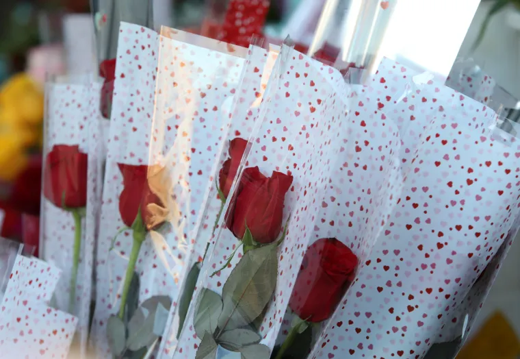 Dan je zaljubljenih, a &Scaron;ibenčani nisu zaboravili na svoje dame. Od ranog jutra kupuju cvijeće