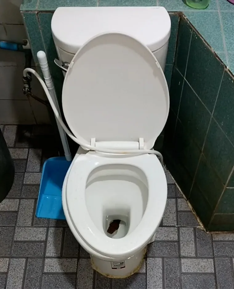 Tajlanđanin se spremao za spavanje pa uočio veliku zmiju. Virila je iz zahodske školjke