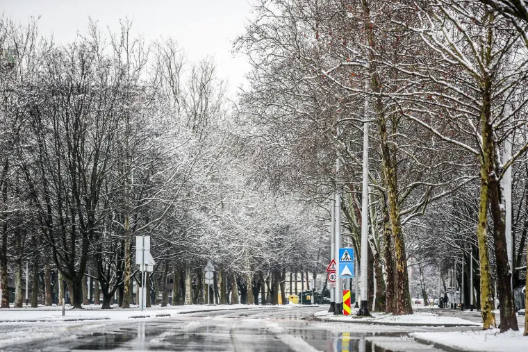 Zagreb se probudio pod bijelim pokrivačem. Snježne pahulje lepr&scaron;ale su cijelu noć