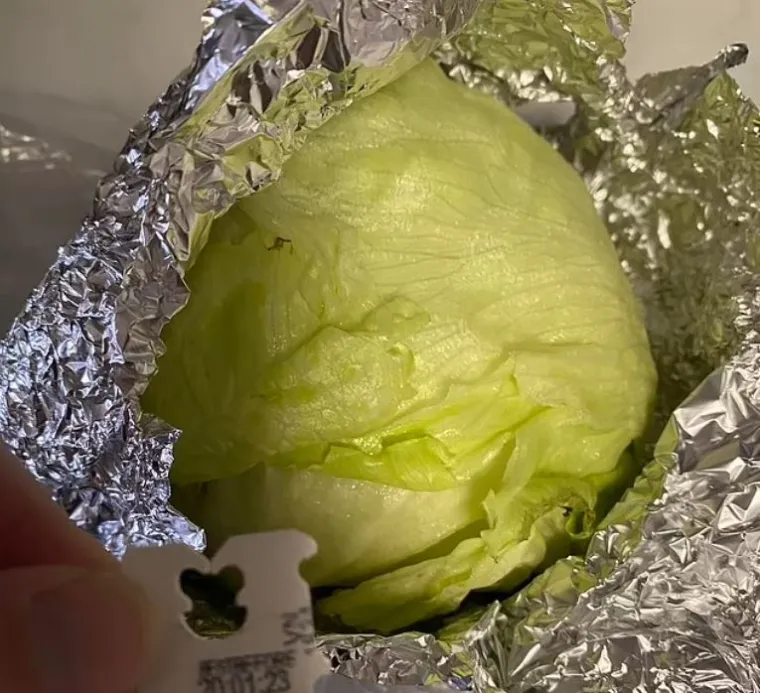 &quot;Imam ovu zelenu salatu s oznakom upotrebe od siječnja koja je i dandanas hrskava i jestiva. Ja sam jedina koja je jede i ne koristim je puno odjednom, samo za wraps ili taco za ručak&quot;, rekla je i dodala kako je to učinila: &quot;Cijelu salatu sam zamotala u foliju i držala u vrećici u kojoj je stigla&quot;.