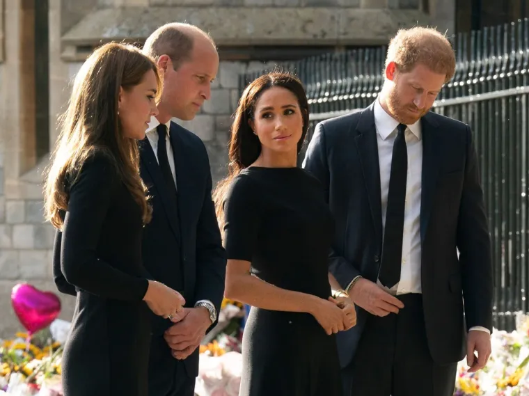 Pisac je dalje kazao da si Harry i Meghan ne bi mogli priuštiti svoj trenutni način života da su ostali aktivni članovi kraljevske obitelji.
