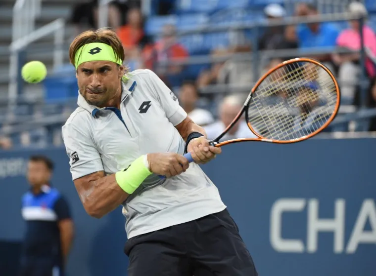 8. David Ferrer - $31,483,911