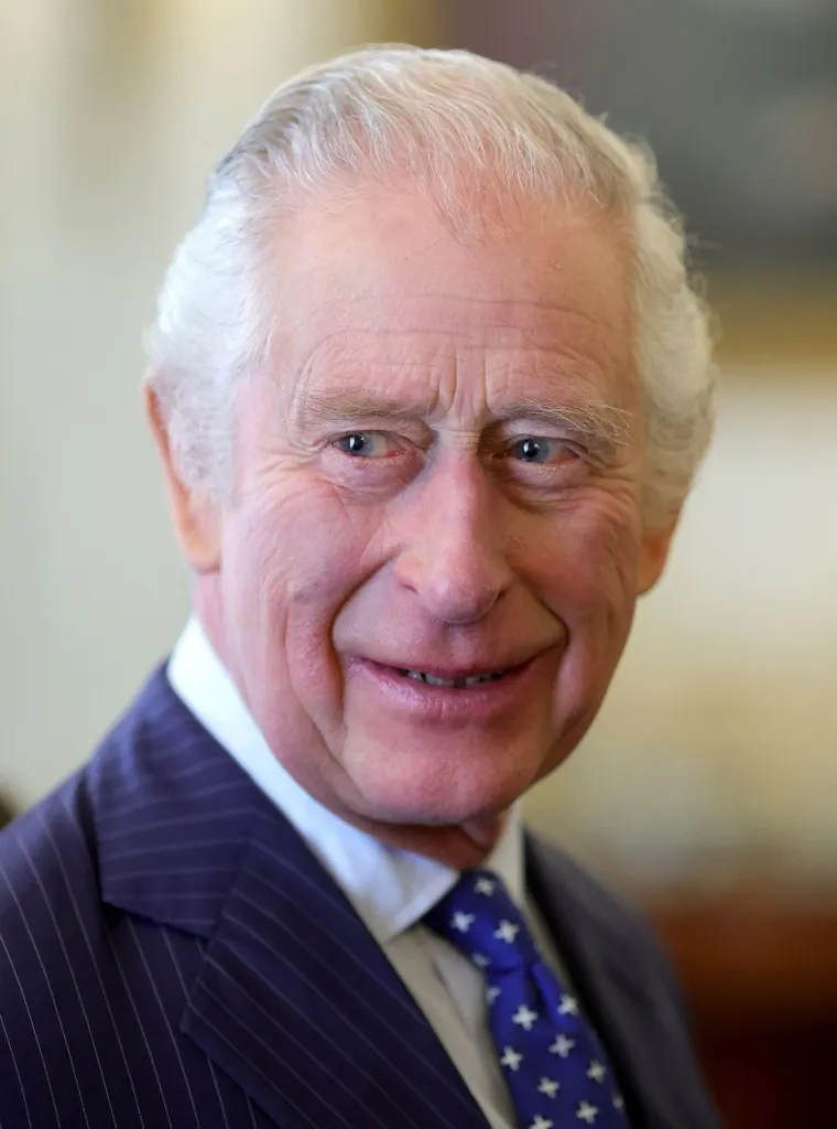 Kraljevski stručnjaci kažu da Charles zapravo ovim potezom želi poniziti princa Andrewa s obzirom na to da čovjek optužen za silovanje maloljetnice trenutno koristi ogromnu palaču Royal Lodge koja ima trideset soba i čije održavanje britanske porezne obveznike košta stotine tisuća funti godišnje.