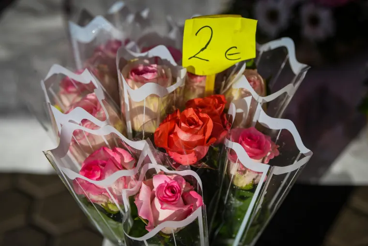 Zagreb u znaku cvijeća: Međunarodni je dan žena