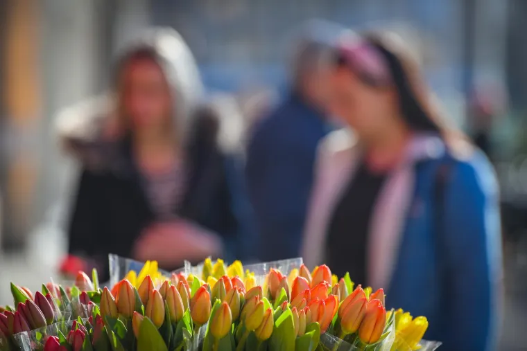 Zagreb u znaku cvijeća: Međunarodni je dan žena
