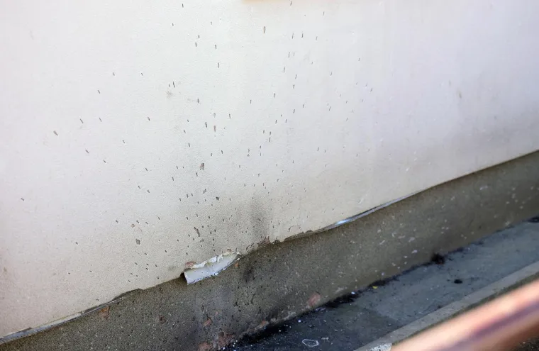 Kuća i dva auta oštećeni u eksploziji u Dubravi