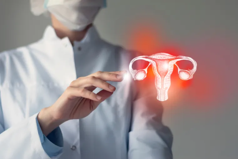 Trenutne smjernice za rak grlića maternice u SAD-u koje je izdao Centar za kontrolu i prevenciju bolesti preporučuju da napravite humani papiloma virus (HPV) ili Papa test ako imate između 21 i 65 godina. Smjernice u Ujedinjenom Kraljevstvu su slične - Nacionalna zdravstvena služba (NHS) šalje pisma s pozivnicama za pregled grlića maternice svim ženama i osobama s grlićem maternice u dobi od 25 do 64 godine. Rak grlića maternice četvrti je najčešći rak u žena u svijetu.
