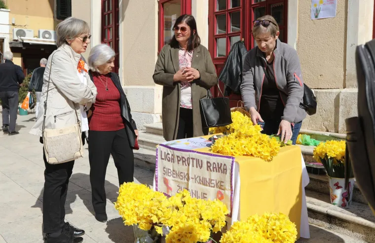 Diljem Hrvatske obilježava se Dan narcisa. Podr&scaron;ku dali i Vilii Bero&scaron;, Krunoslav Capak i Ivan Celjak