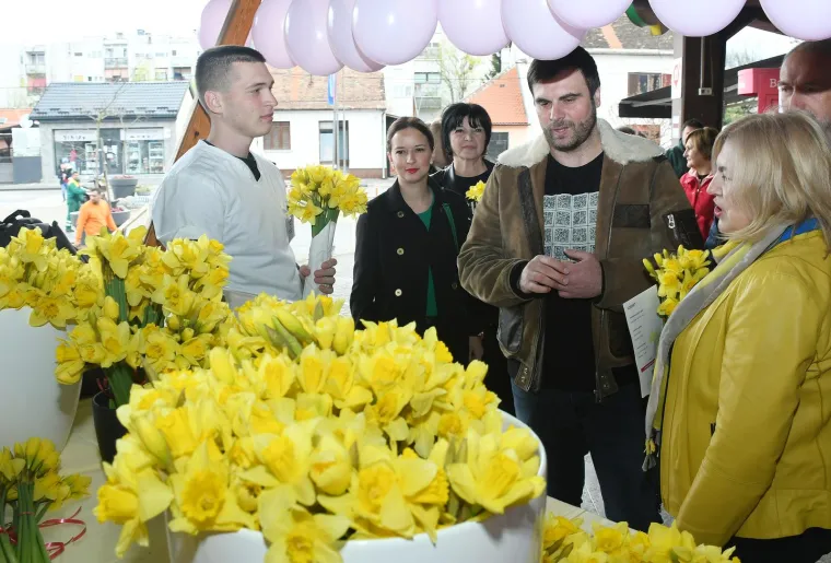 Diljem Hrvatske obilježava se Dan narcisa. Podr&scaron;ku dali i Vilii Bero&scaron;, Krunoslav Capak i Ivan Celjak