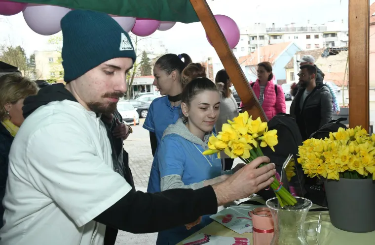 Diljem Hrvatske obilježava se Dan narcisa. Podr&scaron;ku dali i Vilii Bero&scaron;, Krunoslav Capak i Ivan Celjak
