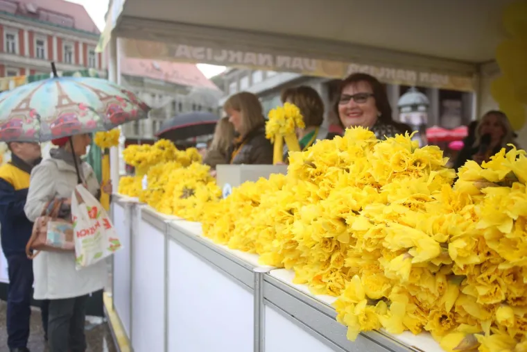 Diljem Hrvatske obilježava se Dan narcisa. Podr&scaron;ku dali i Vilii Bero&scaron;, Krunoslav Capak i Ivan Celjak