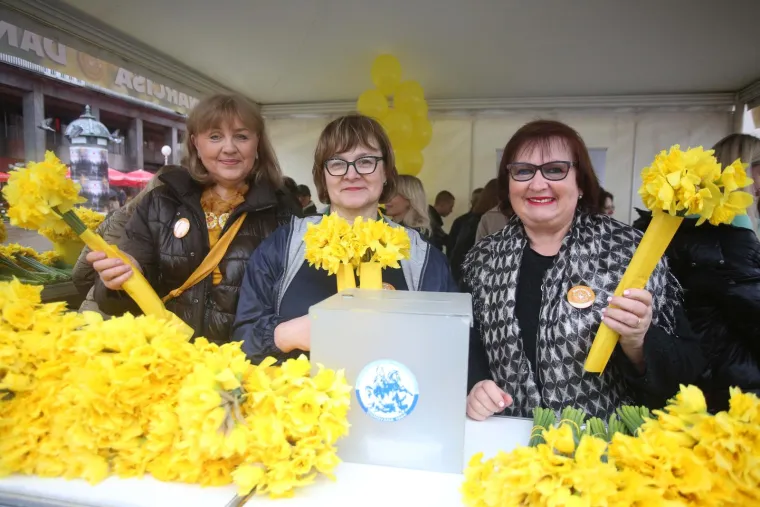 Diljem Hrvatske obilježava se Dan narcisa. Podr&scaron;ku dali i Vilii Bero&scaron;, Krunoslav Capak i Ivan Celjak