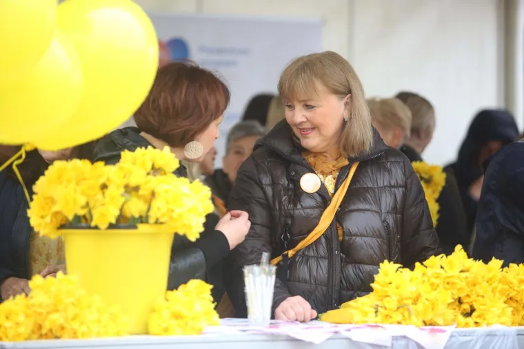 Diljem Hrvatske obilježava se Dan narcisa. Podr&scaron;ku dali i Vilii Bero&scaron;, Krunoslav Capak i Ivan Celjak