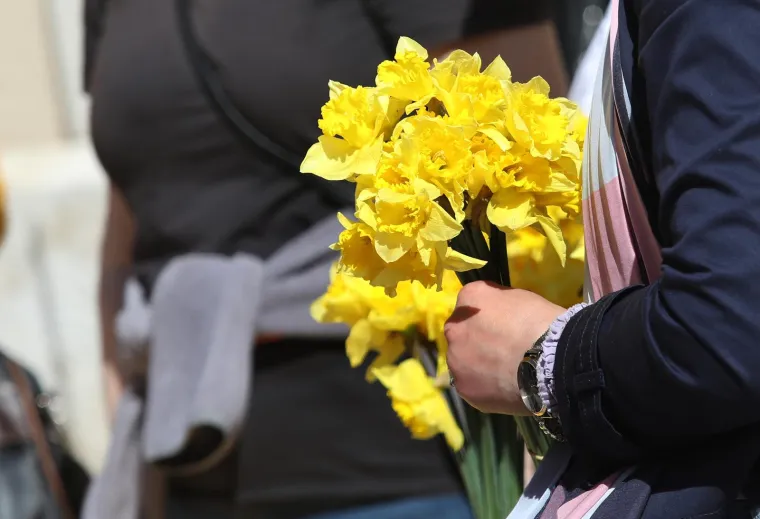 Diljem Hrvatske obilježava se Dan narcisa. Podr&scaron;ku dali i Vilii Bero&scaron;, Krunoslav Capak i Ivan Celjak